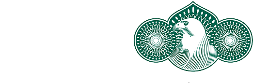 CMA
